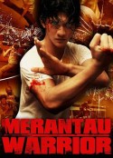 精武战士 Merantau            (2009)