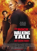 威震八方 Walking Tall            (2004)