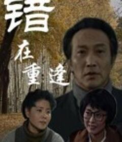 错在重逢            (1994)