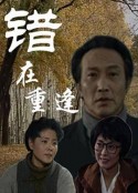 错在重逢            (1994)