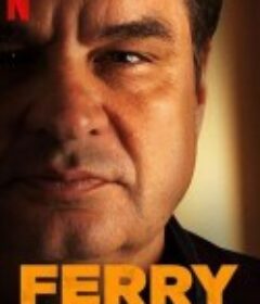 卧底：费瑞崛起 Ferry            (2021)