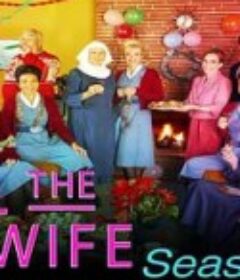 呼叫助产士 第十季 Call The Midwife Season 10            (2021)