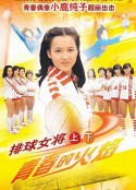排球女将 燃えろアタック            (1979)