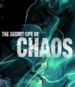 神秘的混沌理论 The Secret Life of Chaos            (2009)