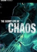 神秘的混沌理论 The Secret Life of Chaos            (2009)