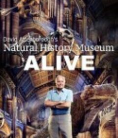 爱丁保罗夫爷爷的博物馆奇妙夜 David Attenborough's Natural History Museum Alive            (2013)
