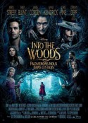 魔法黑森林 Into the Woods            (2014)
