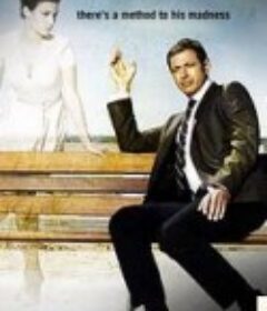 狂想警探 Raines            (2007)