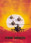 火鸟出击 Fire Birds            (1990)