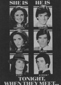 斯蒂尔传奇 1-5季 Remington Steele Season 1            (1982)