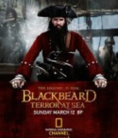 绿林好汉海盗船长黑胡子 Blackbeard: Terror at Sea            (2006)
