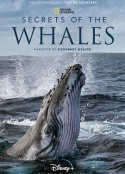 鲸的秘密 Secrets of the Whales            (2021)