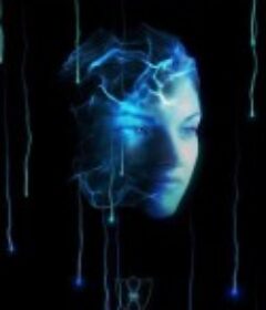 特工比格斯 95ers: Echoes            (2012)