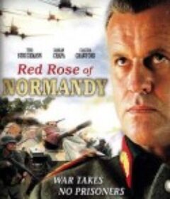 诺曼底红玫瑰 red rose of normandy            (2011)