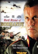 诺曼底红玫瑰 red rose of normandy            (2011)