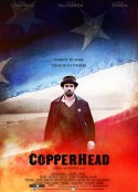 南北之殇 Copperhead            (2013)
