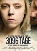 3096天 3096 Tage            (2013)