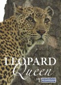 花豹女王 Leopard Queen            (2011)