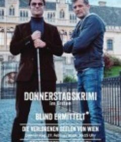 盲探追缉：怒火魔影 Blind Ermittelt (III)            (2020)