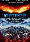 流星的启示 Meteor Apocalypse            (2010)