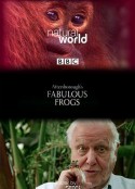 大自然：爱登保罗爷爷带你看绝妙的蛙 Nature: Attenborough's Fabulous Frogs            (2014)