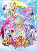 心跳！光之美少女 ドキドキ！プリキュア            (2013)