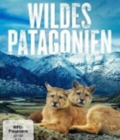 巴塔哥尼亚：地球秘密乐园 Patagonia: Earth's Secret Paradise            (2015)