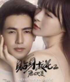 贴身校花之君临天夏            (2017)