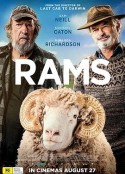 公羊 Rams            (2020)