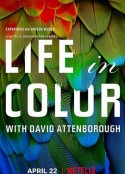 多彩生活 Life In Colour            (2021)