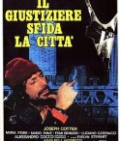胆包天 Il giustiziere sfida la città            (1975)