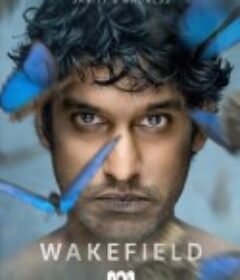 清醒之地 Wakefield            (2021)