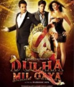 我找到了新郎 I Found a Groom            (2010)