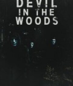 林中恶魔 Devil in the Woods            (2020)