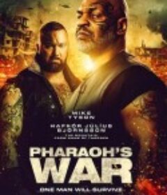 沙漠袭击 DESERT STRIKE            (2019)