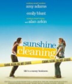 阳光清洗 Sunshine Cleaning            (2008)