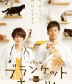 毛毯猫 ブランケット・キャッツ            (2017)