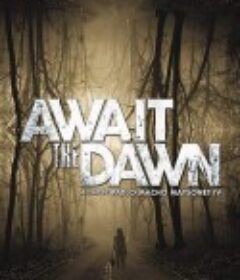 暗黑波利5：法老的豪宅 Await the Dawn            (2020)