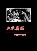 血沃英城—四战四平纪实            (2016)
