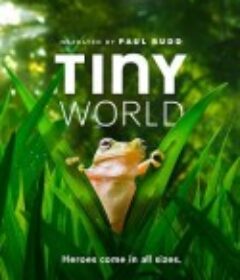 小小世界 第二季 Tiny World Season 2            (2021)