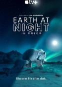 夜色中的地球 第二季 Earth at Night in Color Season 2            (2021)