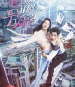 倒数第二次爱情 끝에서 두 번째 사랑            (2016)