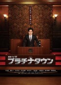 白金镇 プラチナタウン            (2012)