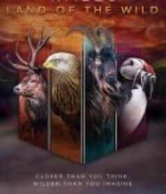 威尔士：狂野大地 Wales: Land of the Wild            (2019)