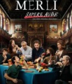 校园哲学家之波尔外传 第二季 Merlí: Sapere Aude Season 2            (2021)