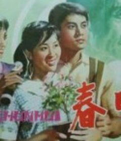 春晖            (1982)