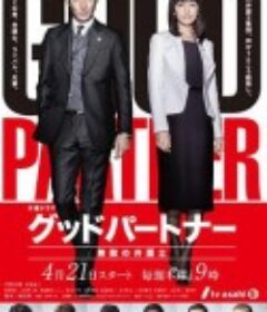 亲密搭档：无敌律师 グッドパートナー 無敵の弁護士            (2016)