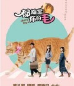 都嘛是你的毛            (2021)