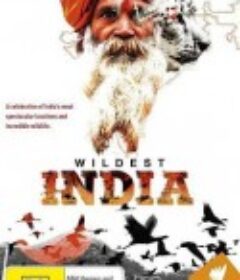 狂野印度 Wildest India            (2012)