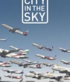 空中城市 City in the Sky            (2016)